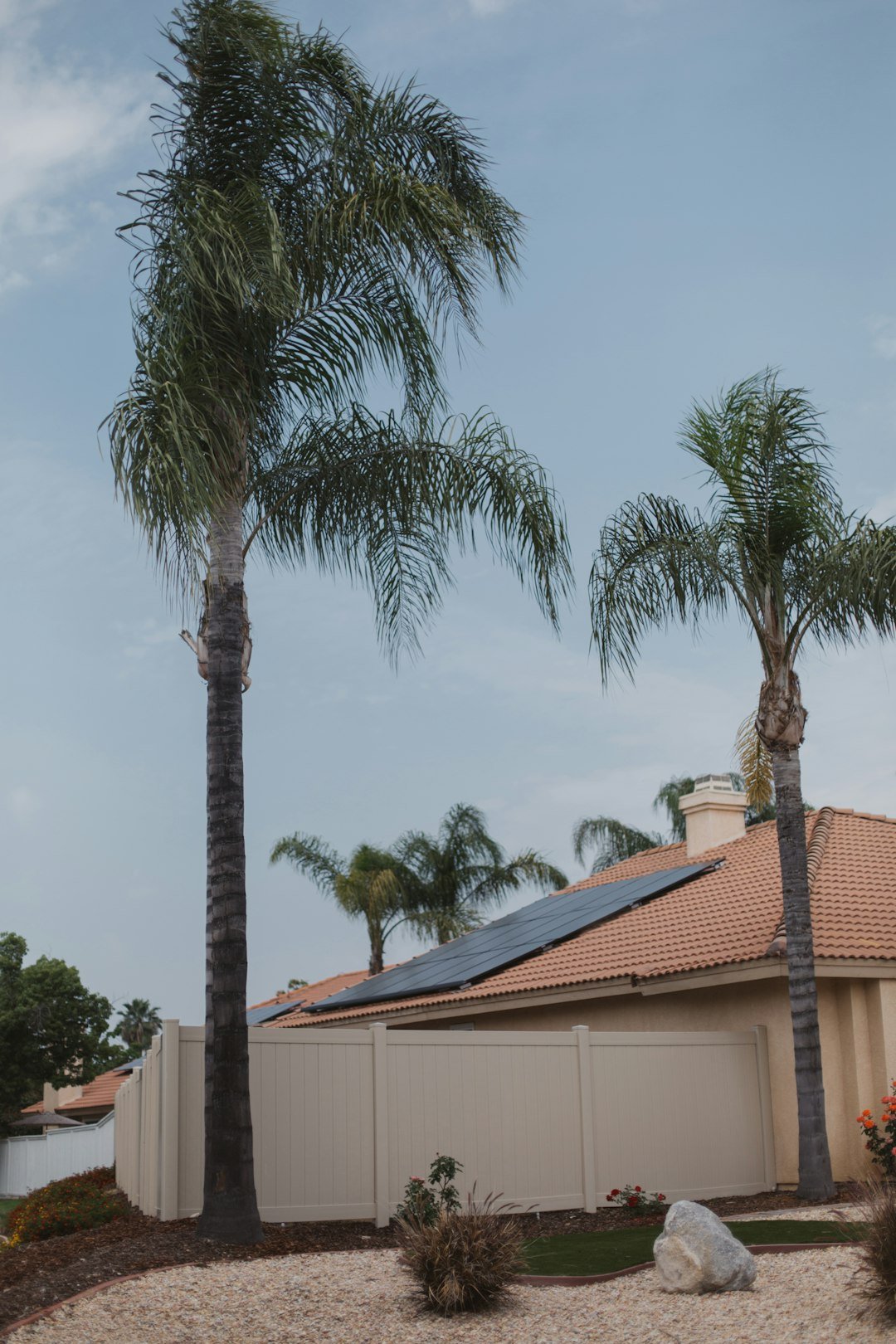 service-04 Vivint Solar - Solar Panels on terra cotta roof with palm trees in a tropical paradise like Florida, California, or Hawaii.